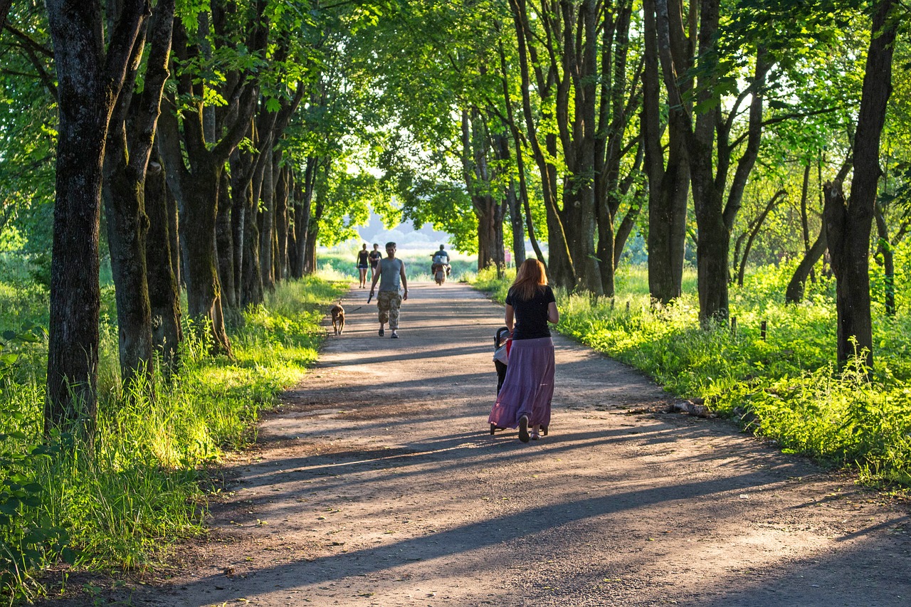 Image - alley basswood river track stroll