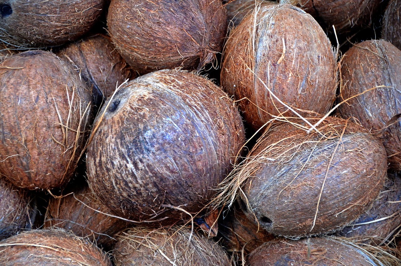 Image - coconut nuts market brown