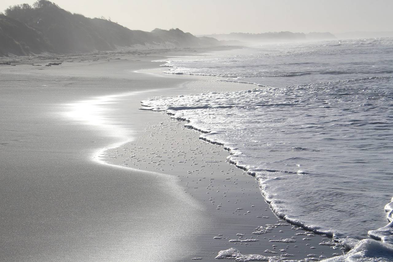 Image - beach sea new zealand opotiki