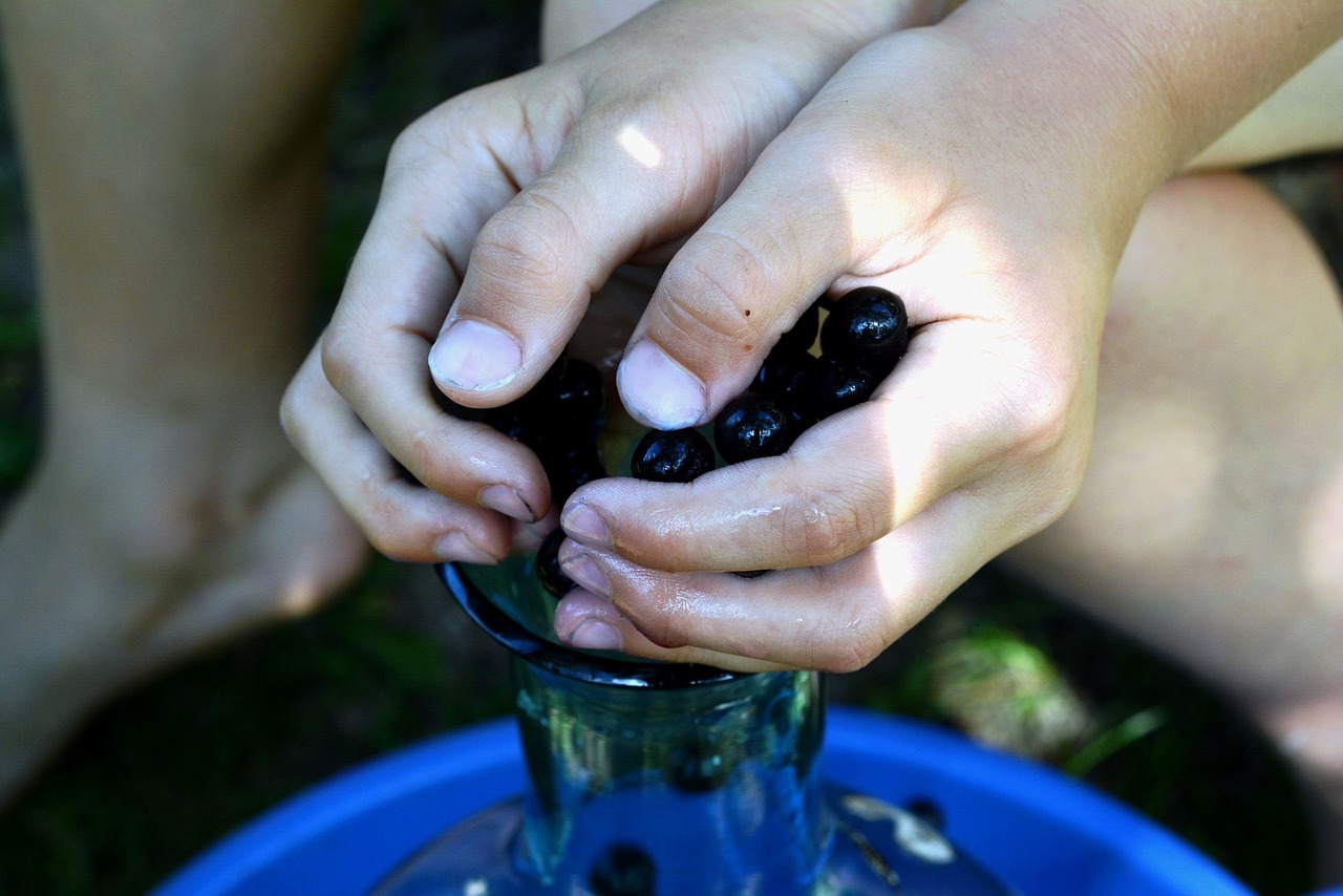 Image - aronia small fruit hand hands