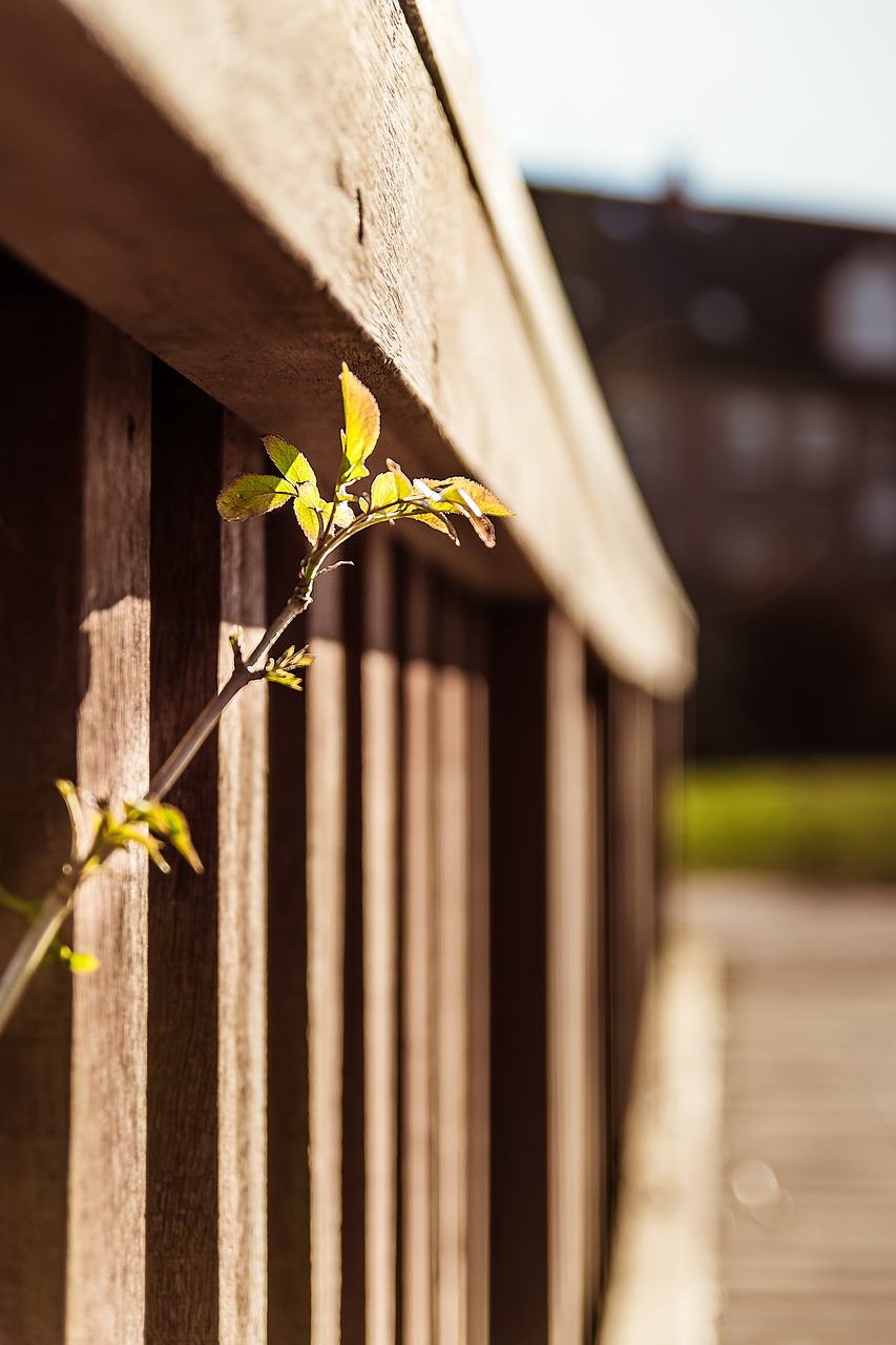 Image - scion railing grow spring progress