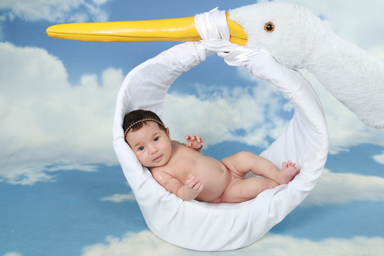 Image - stork girl linda newborn