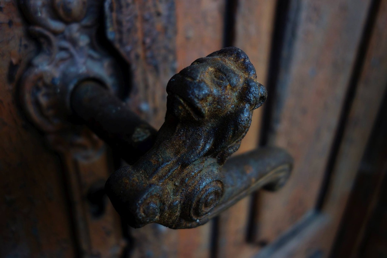 Image - door handle lion fittings cast iron