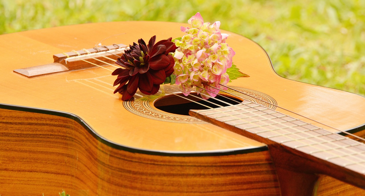 Image - guitar musical instrument music