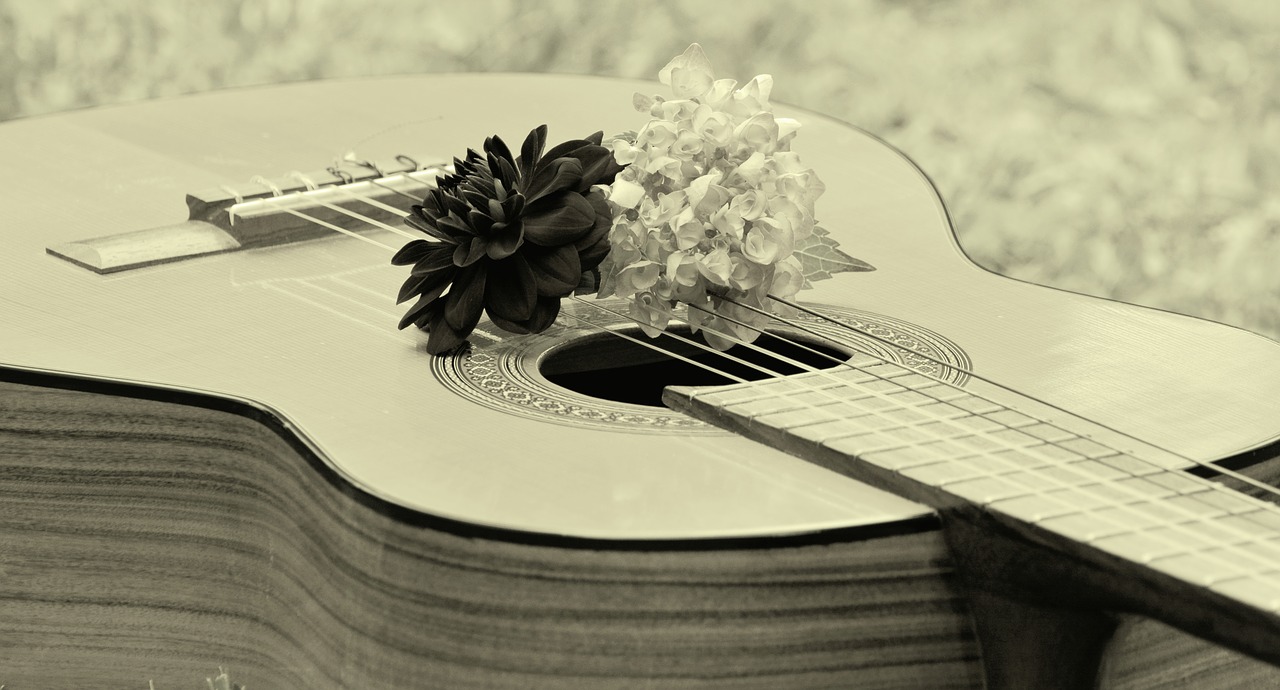 Image - guitar musical instrument music