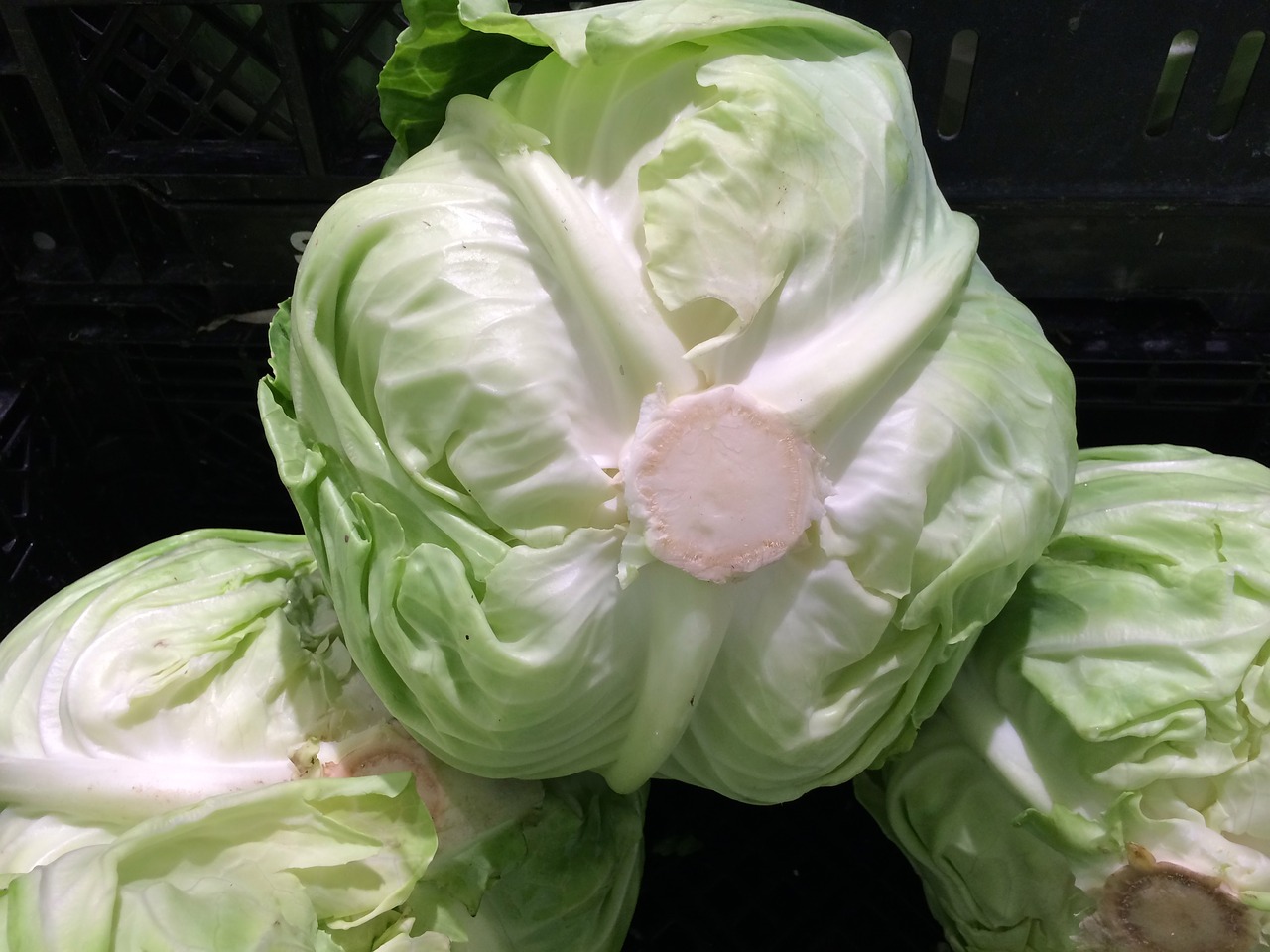 Image - cabbage vegetables seiyu ltd living