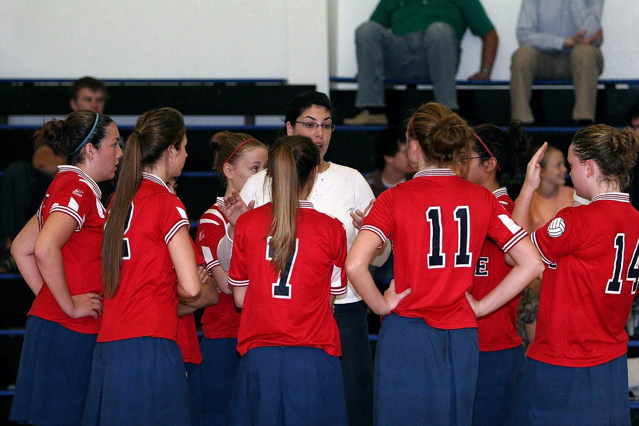 Image - volleyball team coach game sport