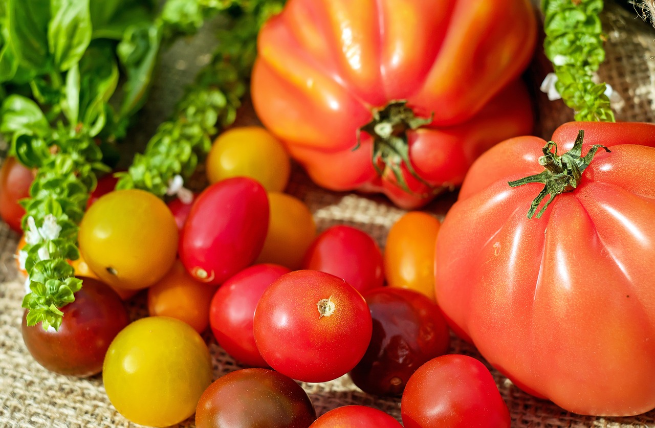 Image - tomatoes colorful vitamins frisch