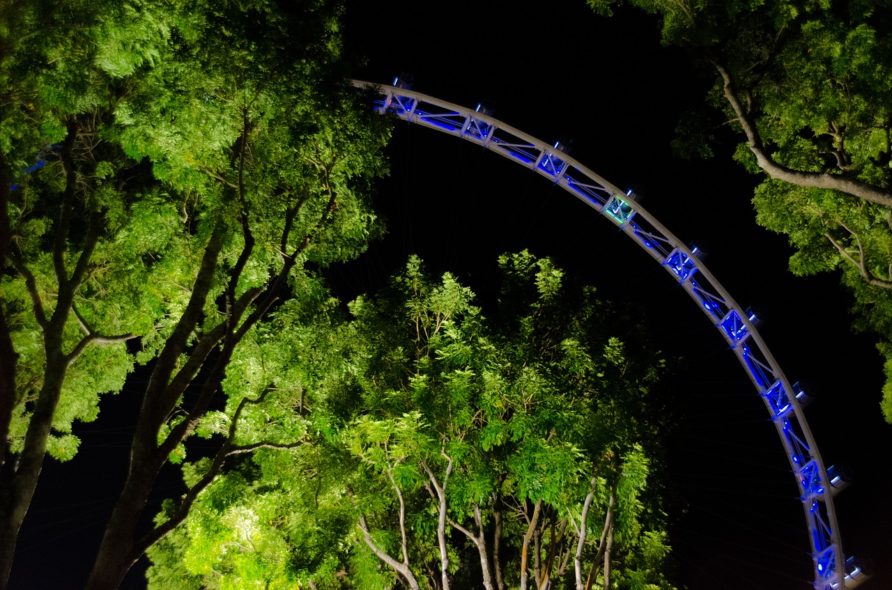 Image - singapore flyers night illuminated