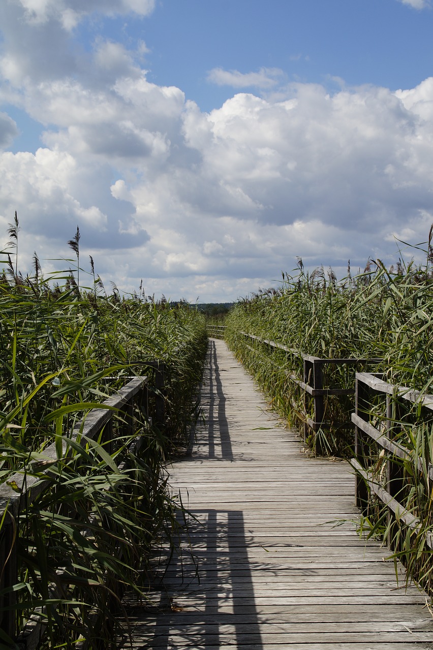 Image - landscape spring lake nature reserve