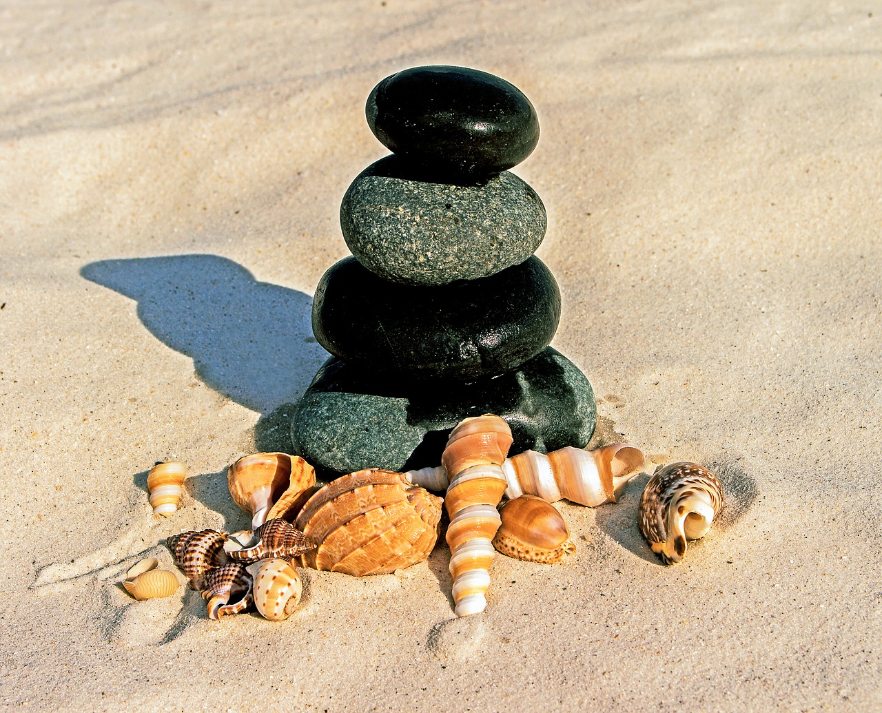 Image - stones sea shells beach sand