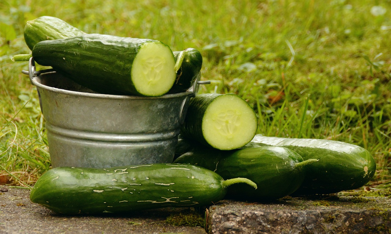 Image - cucumbers garden harvest