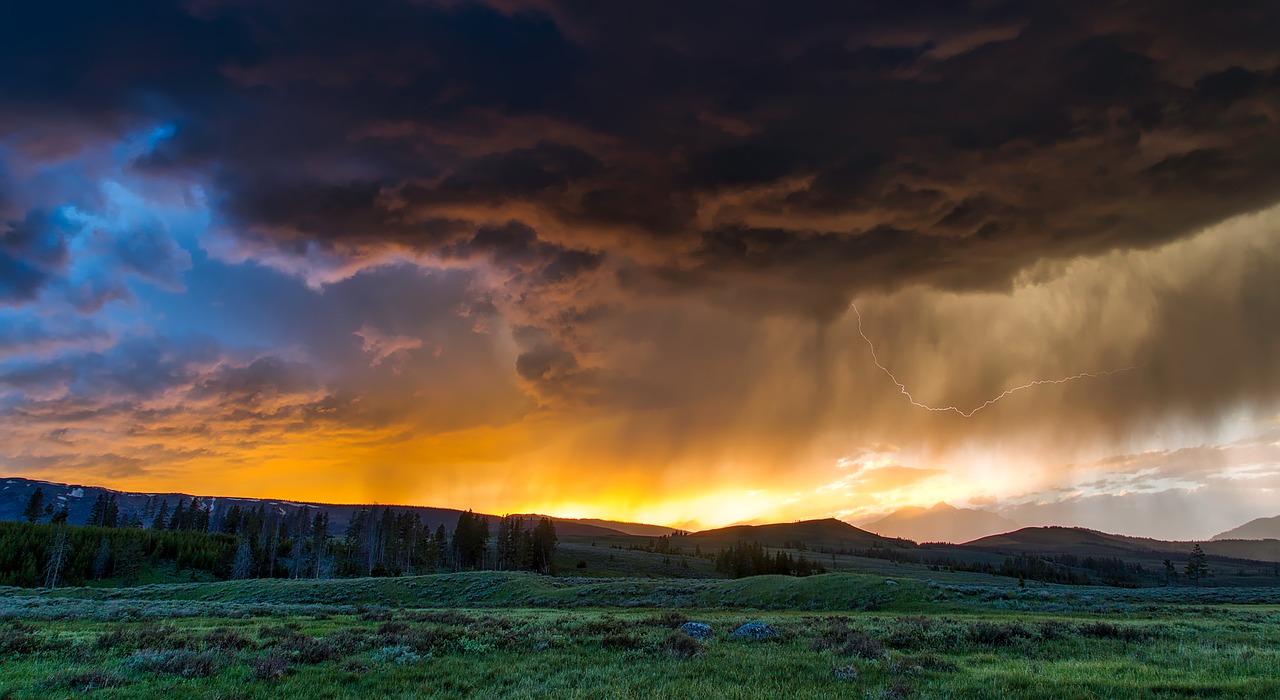 Image - yellowstone national park wyoming