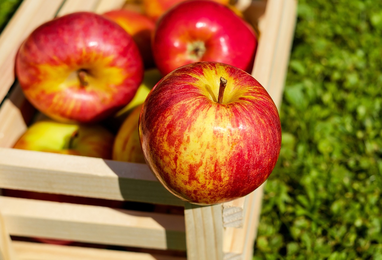 Image - apple red fruit ripe harvest