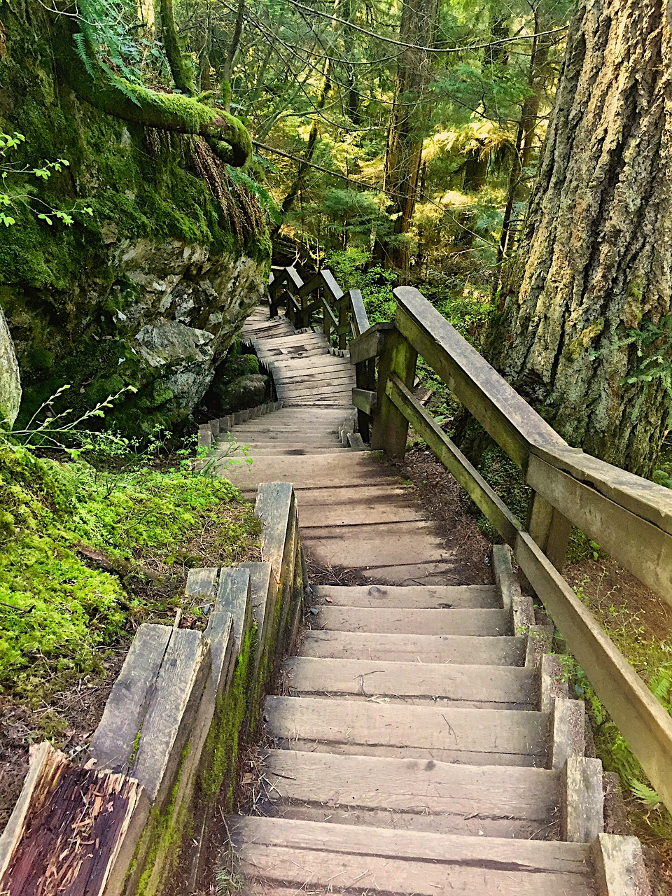 Image - trees nature stairs zen energy