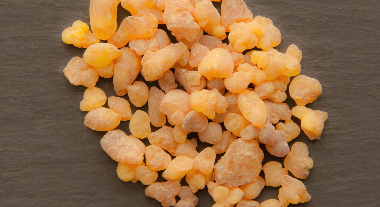 Image - boswellia sacra oman frankincense