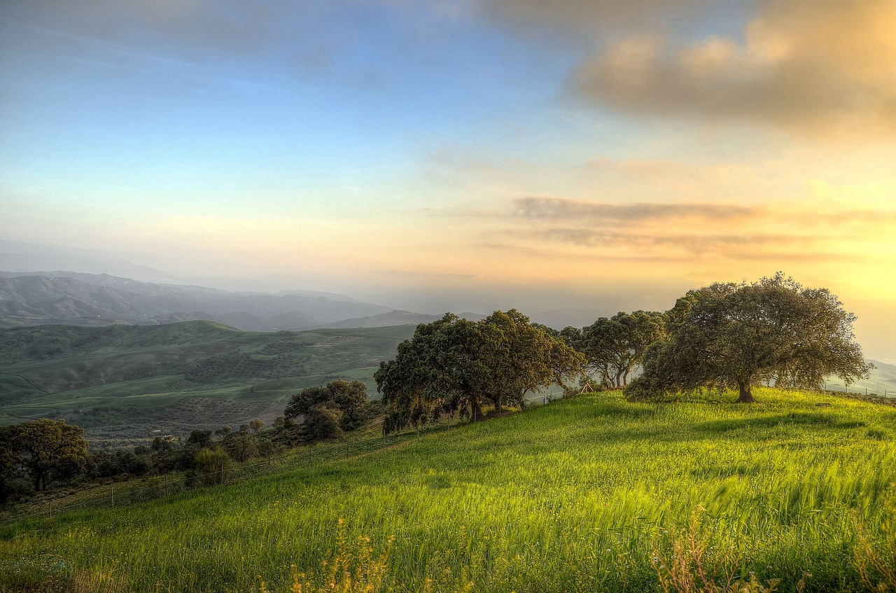 Image - landscape south andalusia holiday