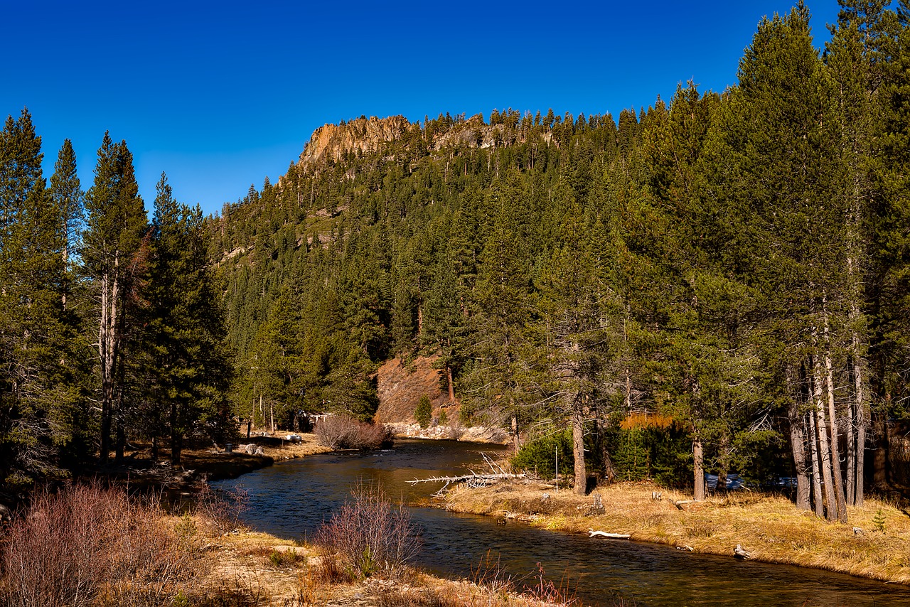 Image - truckee river tahoe national forest