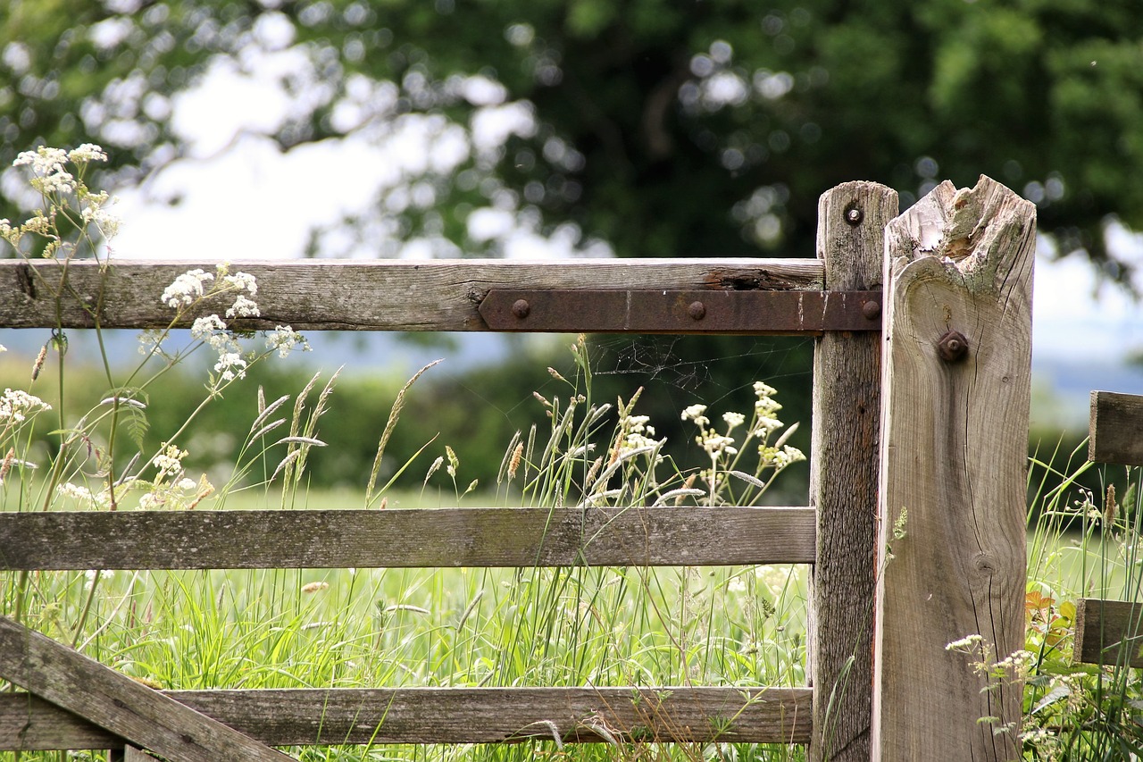 Image - farm gate countryside landscape