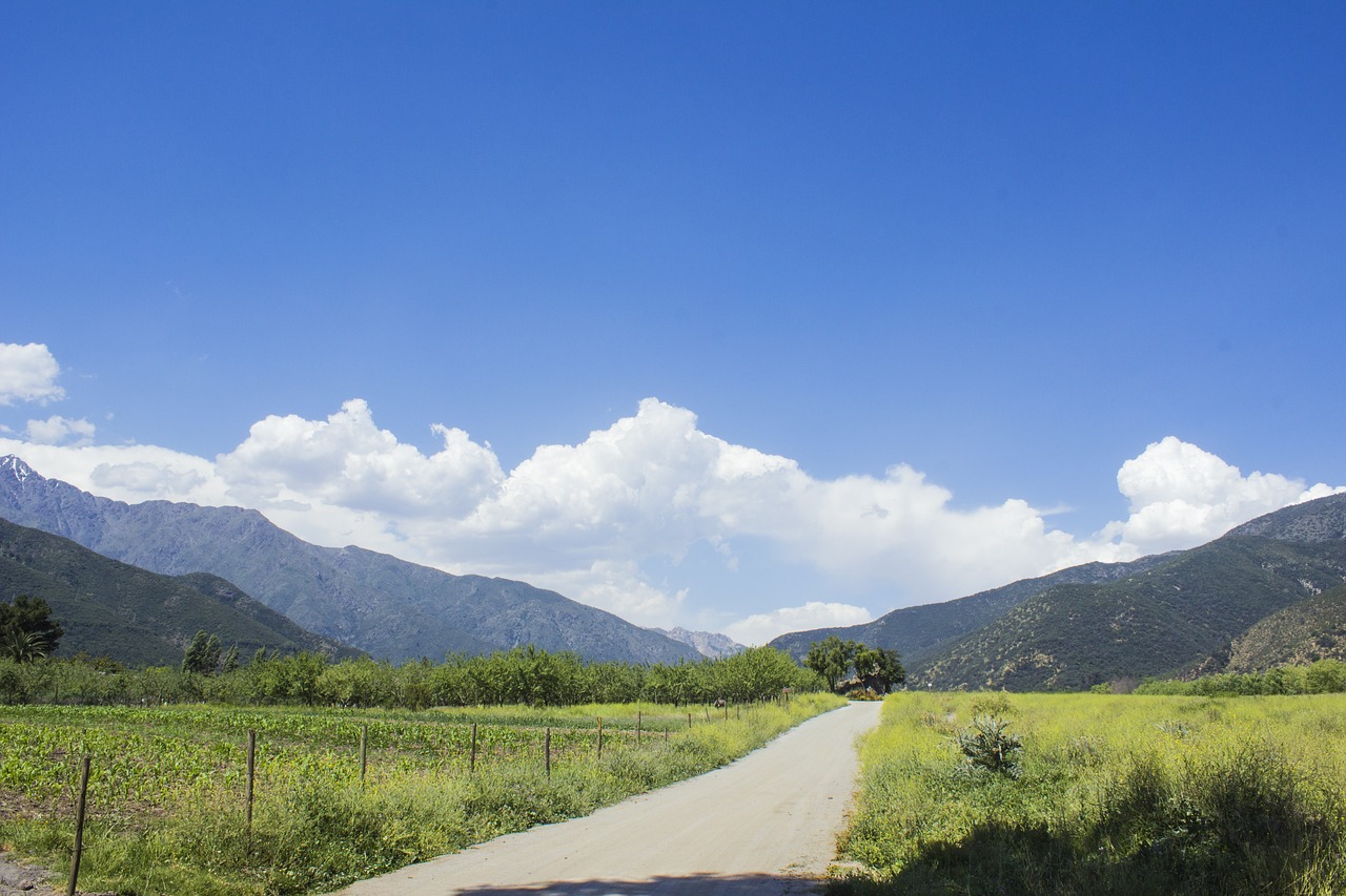 Image - landscape chile field andes path