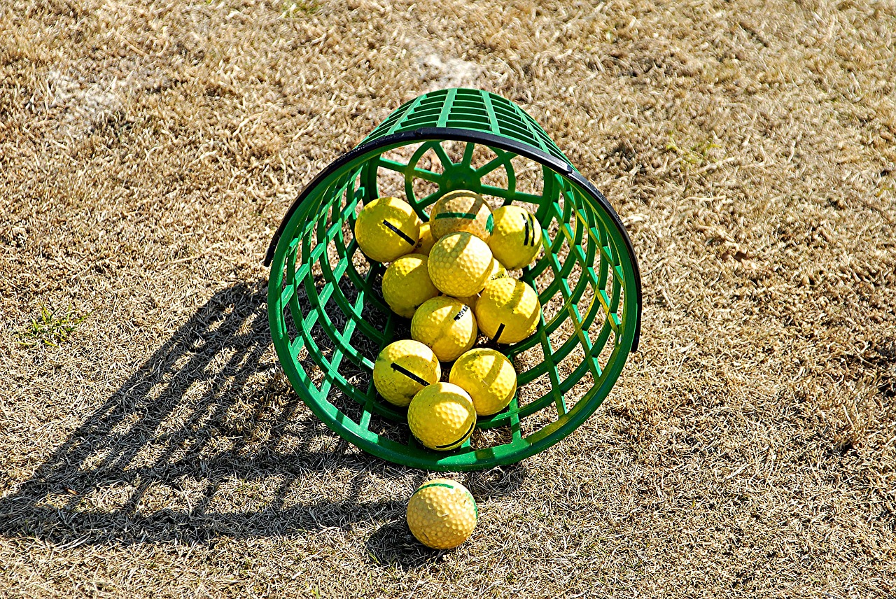 Image - basket golf balls golf ball grass