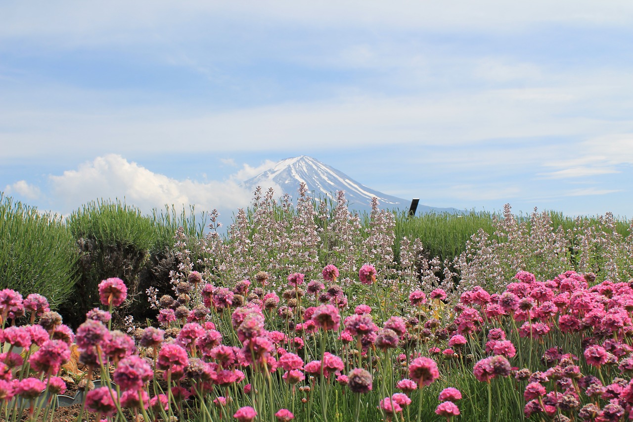 Image - japan mount fuji fujisan fuji san