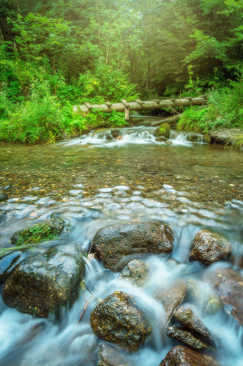 Image - water forest green long exposure