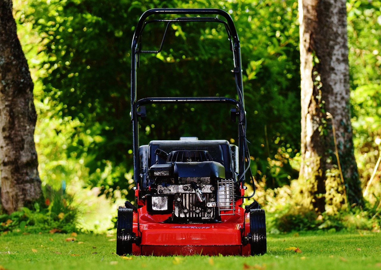 Image - lawn mower gardening mow cut grass