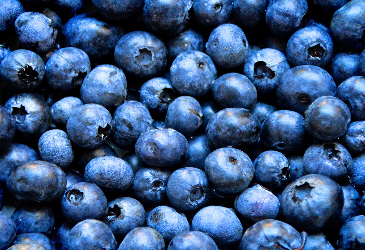 Image - blueberries breakfast muesli