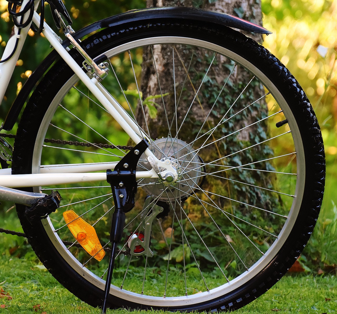 Image - bike rear wheel cycle wheel