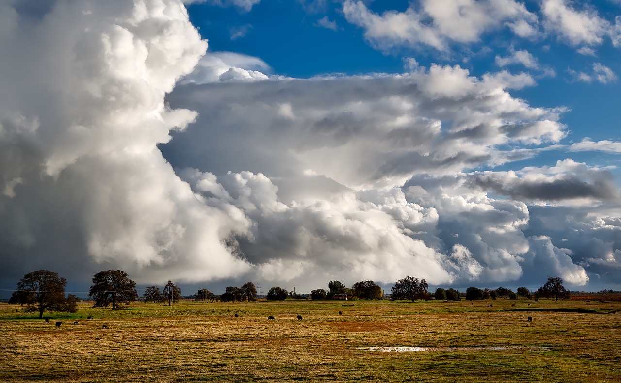 Image - sky clouds cloudscape clouded