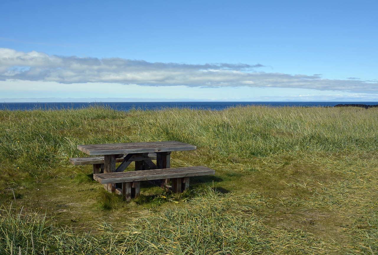 Image - table bank picnic table picnic