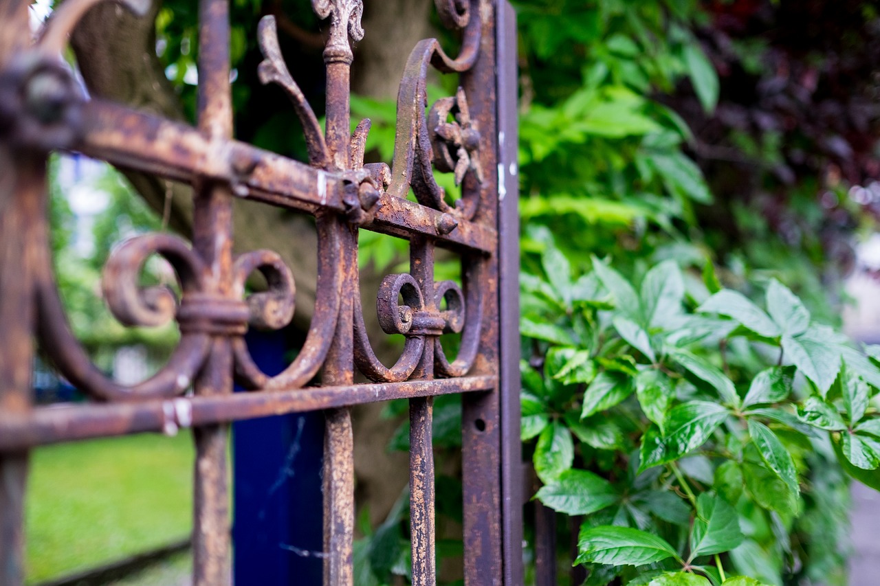 Image - gate stainless plant green brown