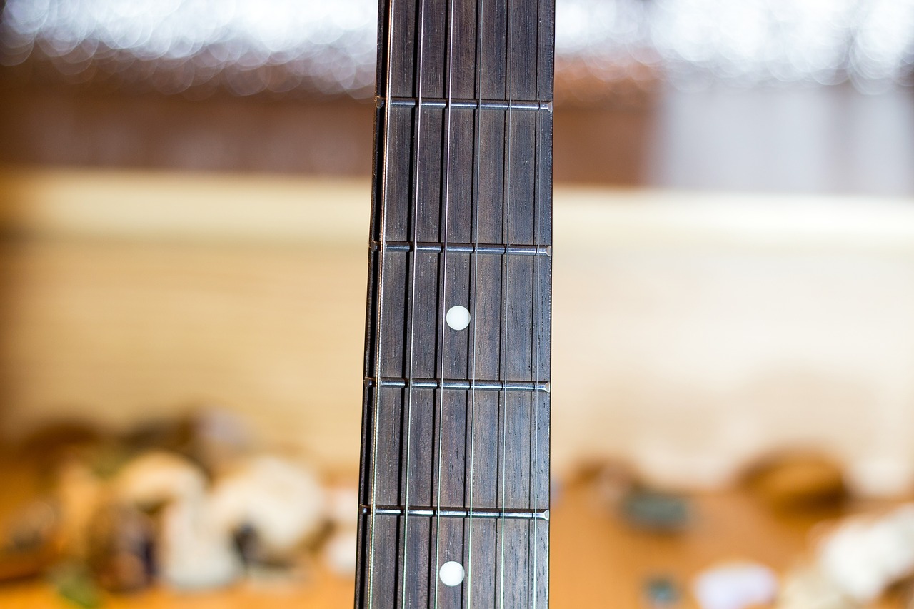 Image - guitar neck vulture strings frets