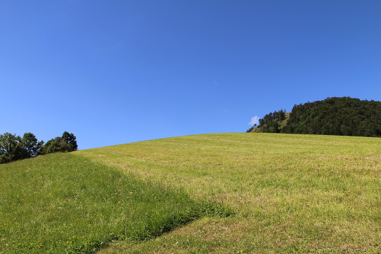 Image - salzburg gaisberg meadow