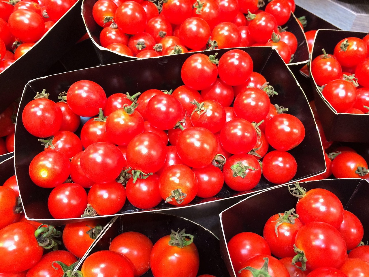 Image - mini tomato orange red dish vivid