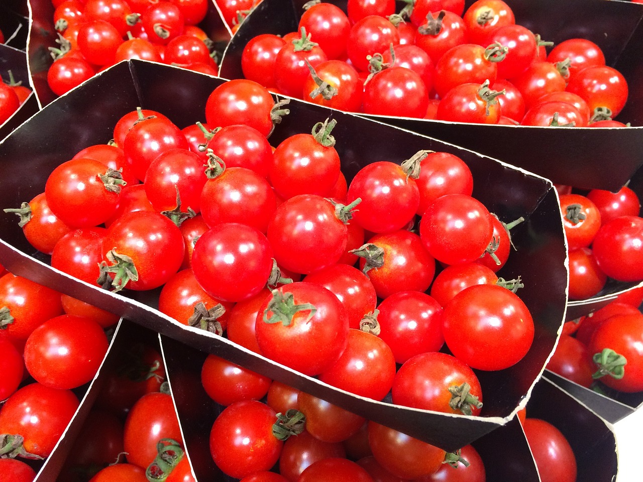 Image - mini tomato orange red dish vivid