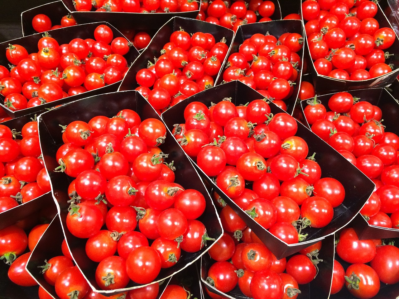 Image - mini tomato orange red dish vivid