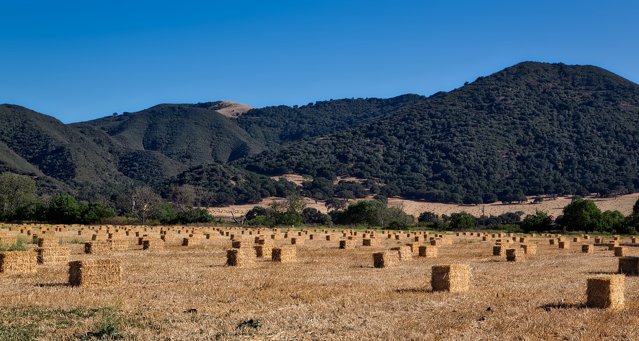 Image - farm hay field bales field meadow