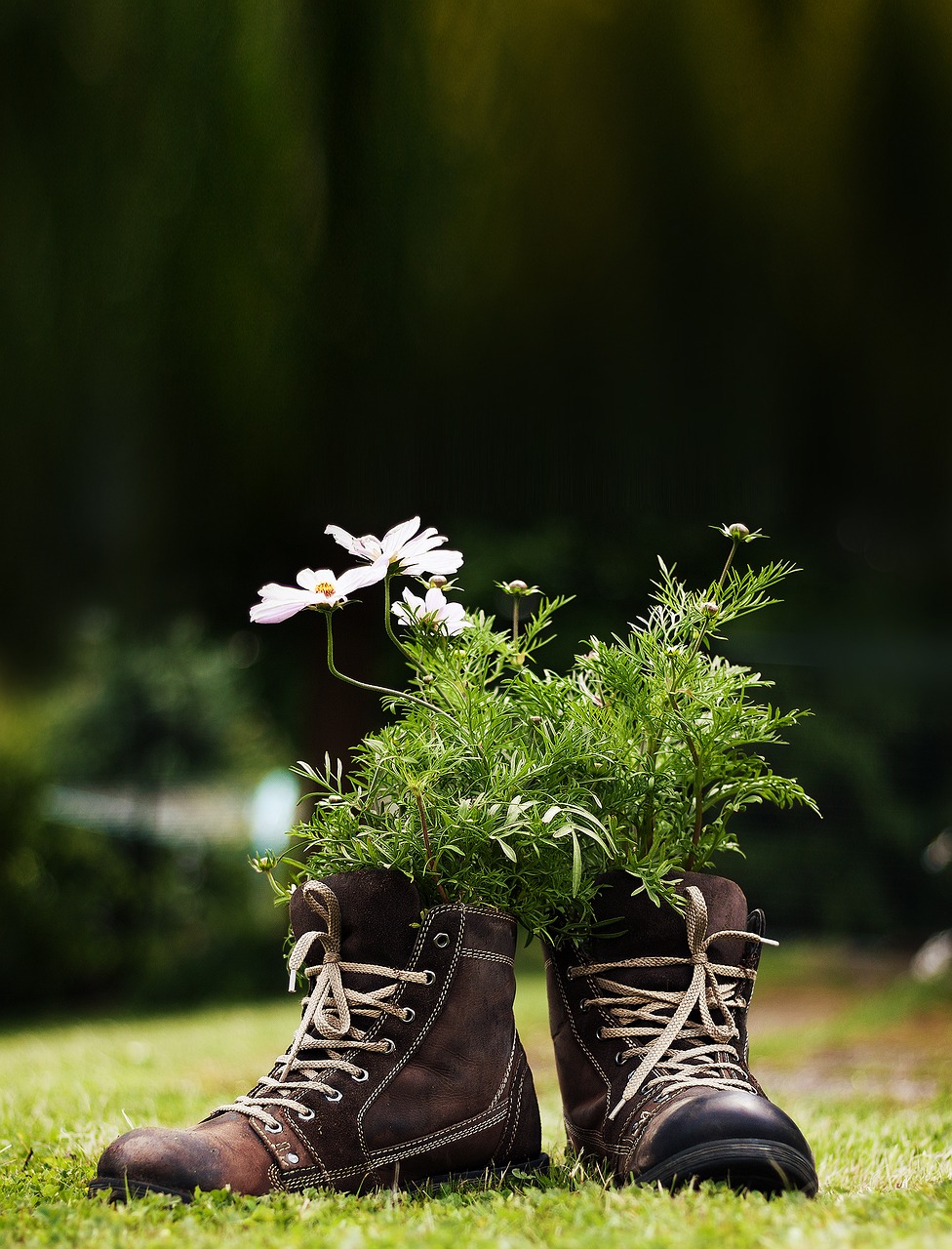 Image - flowers shoes meadow garden deco