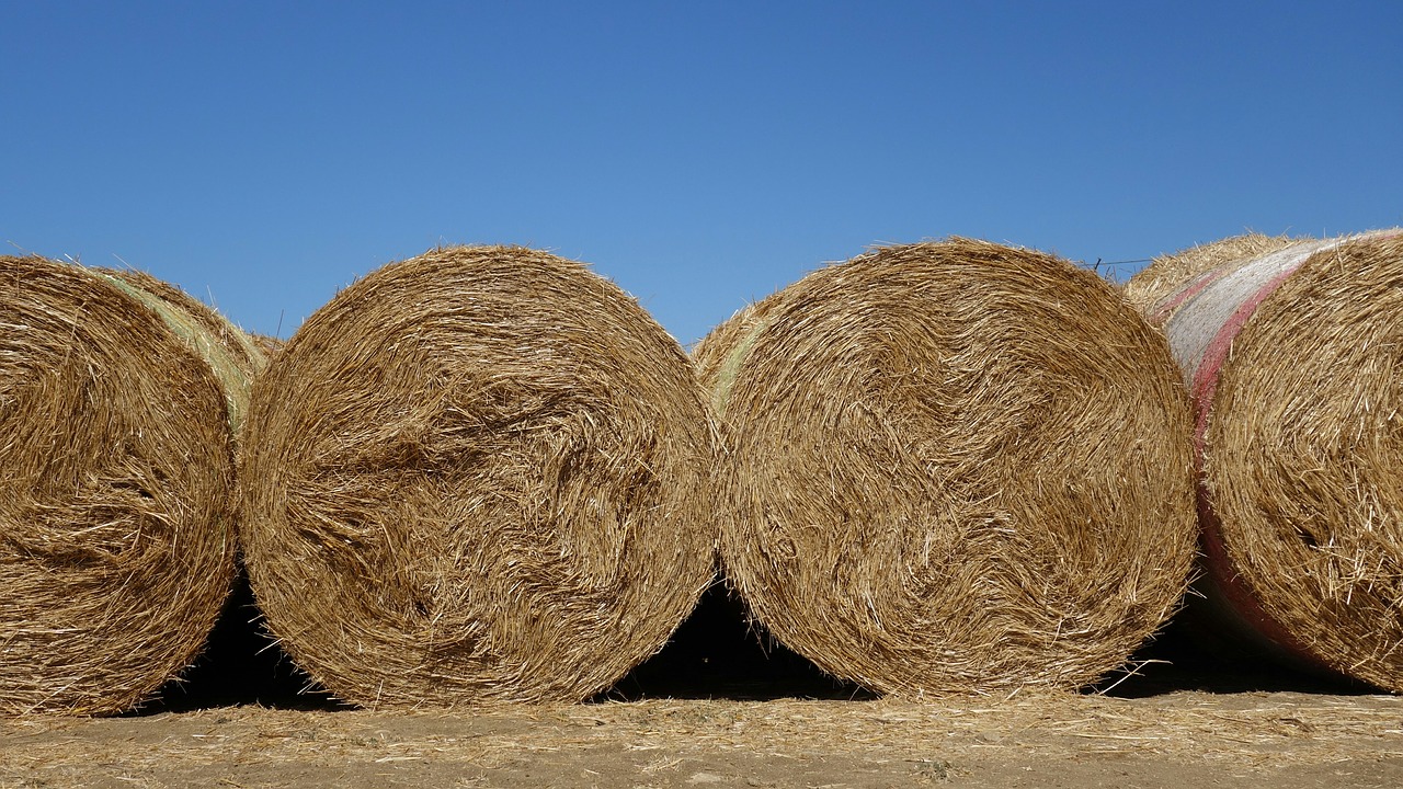 Image - straw bales straw roll summer