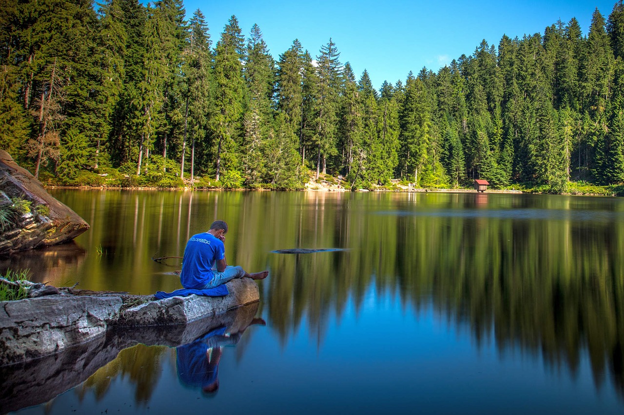 Image - lake glass waldsee black forest
