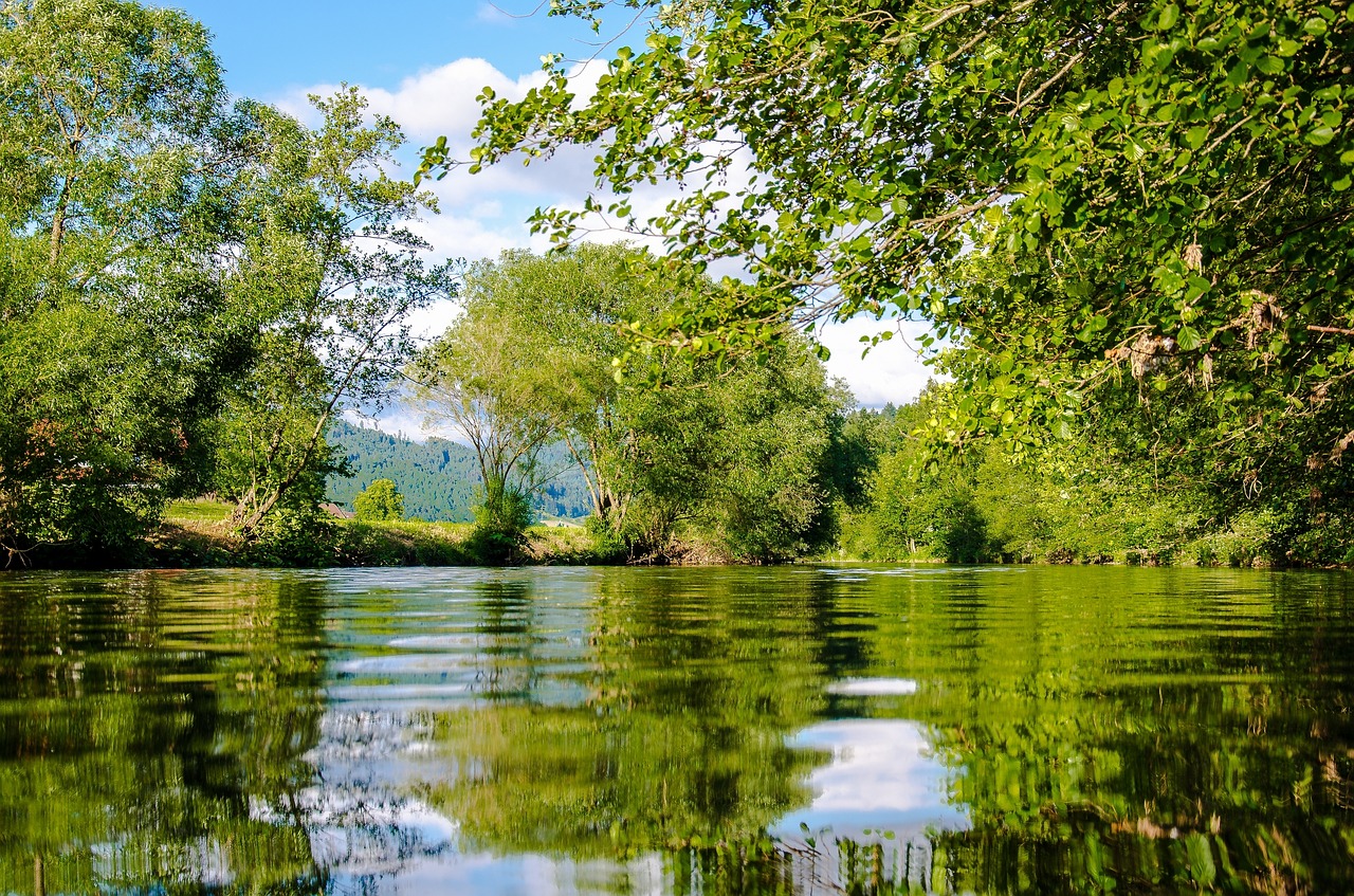 Image - kinzig shore trees mirroring