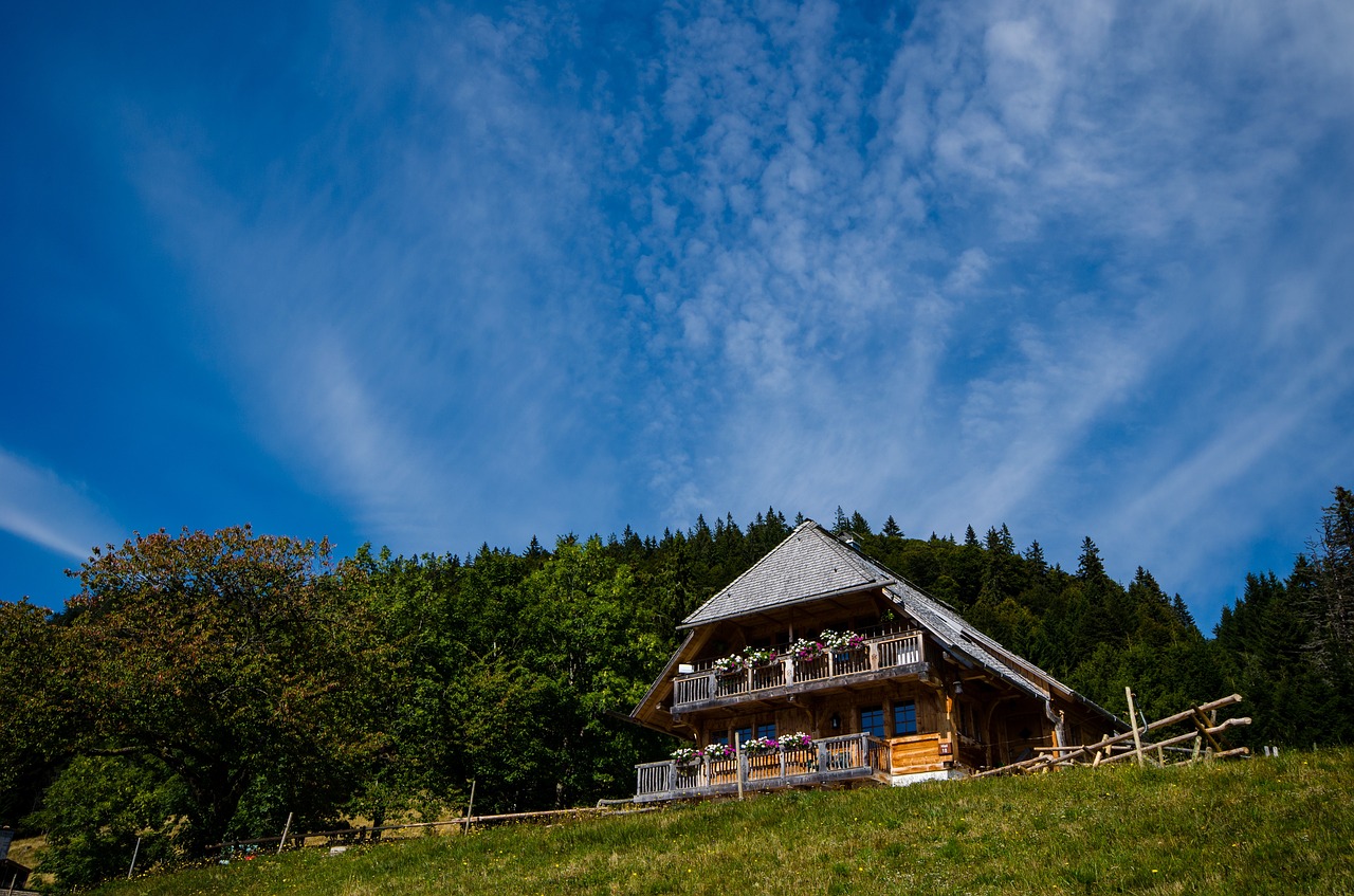 Image - box lake feldberg black forest