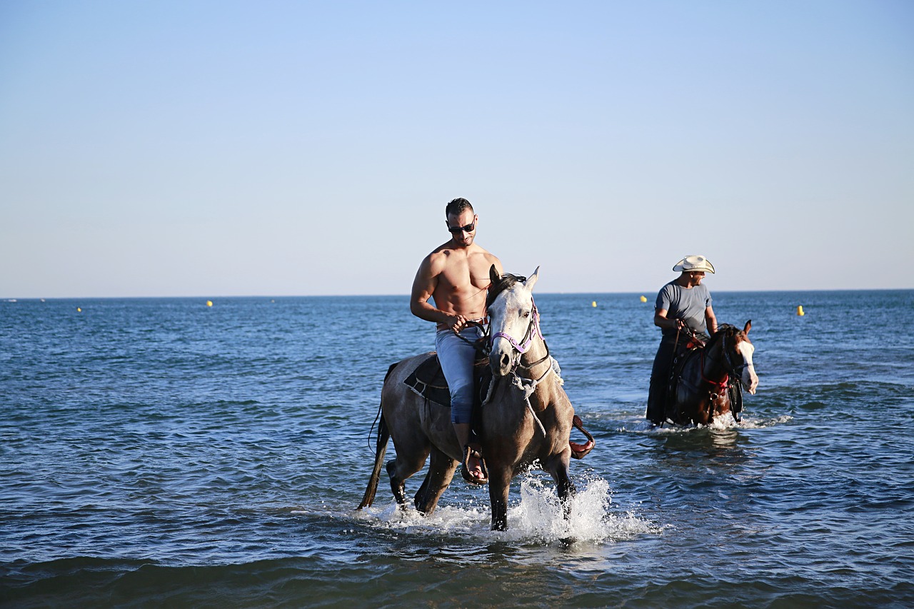 Image - horse hiking horses water plan