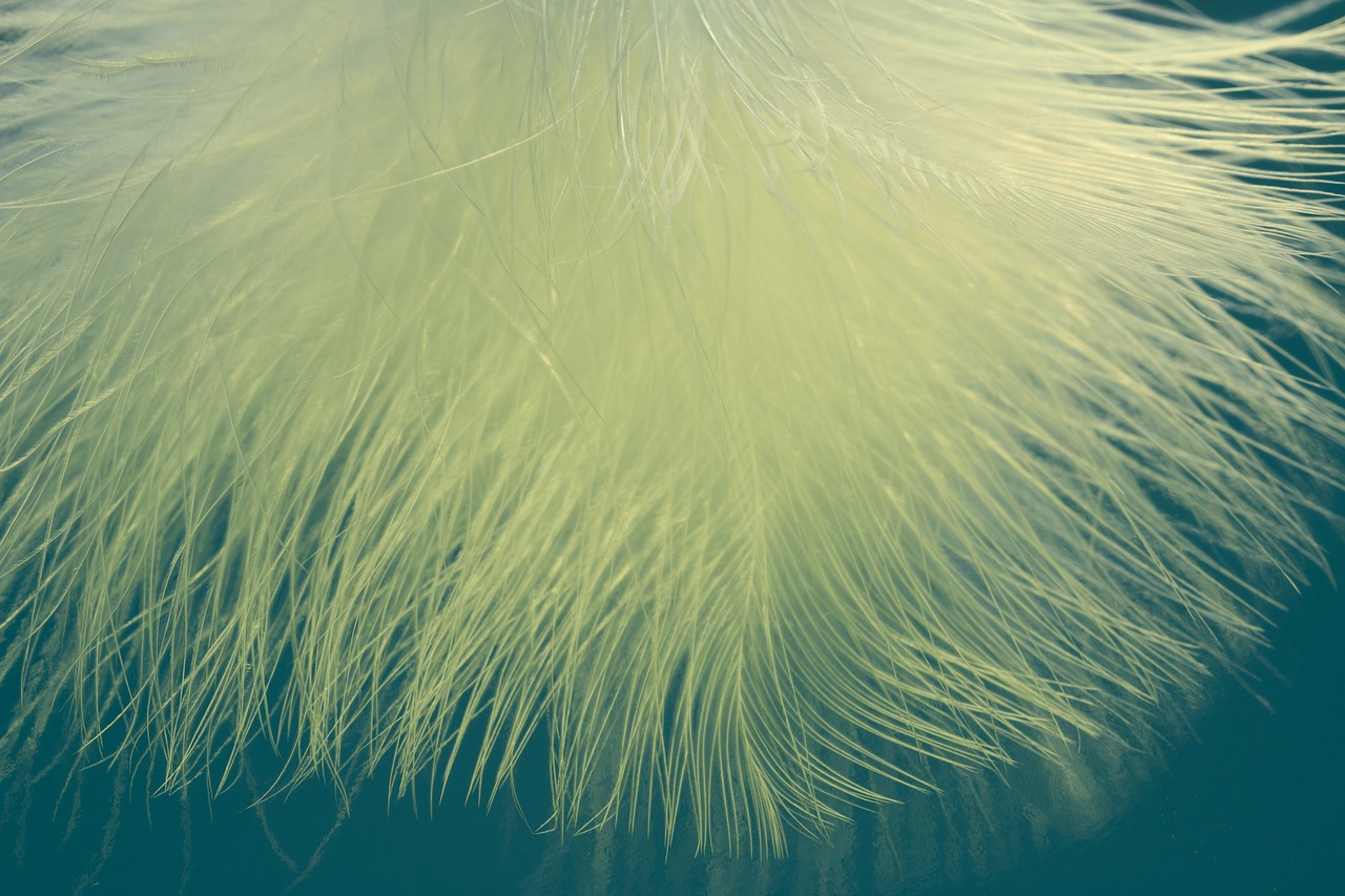 Image - feather ease airy spring dress
