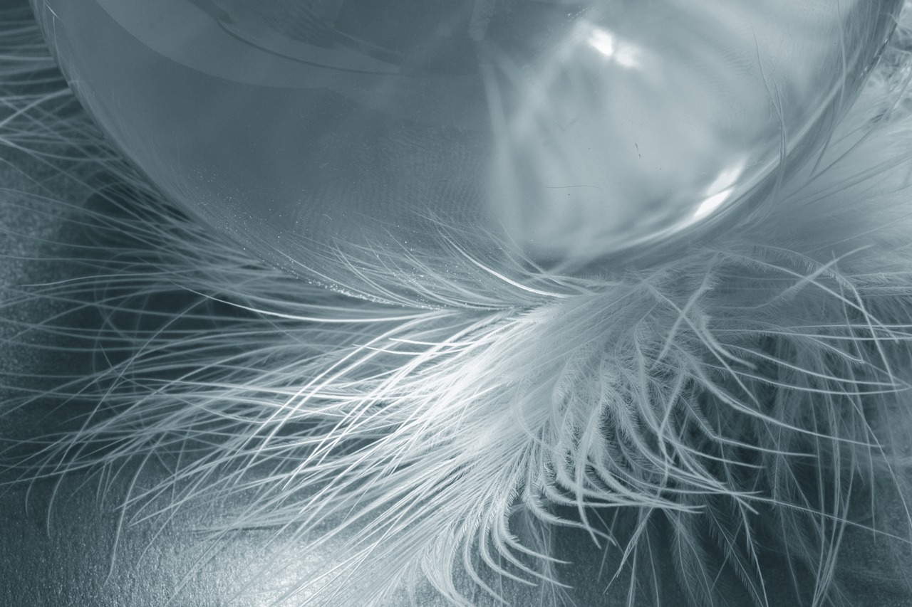 Image - glass ball feather ease airy