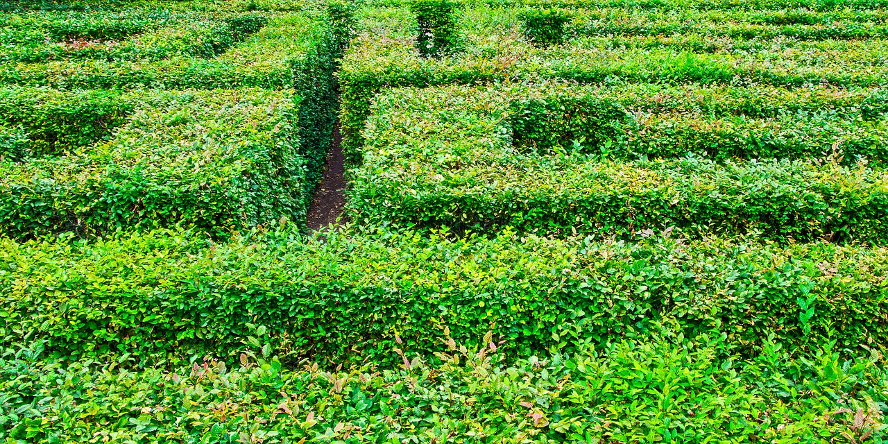 Image - labyrinth garden altjeßnitz hedge