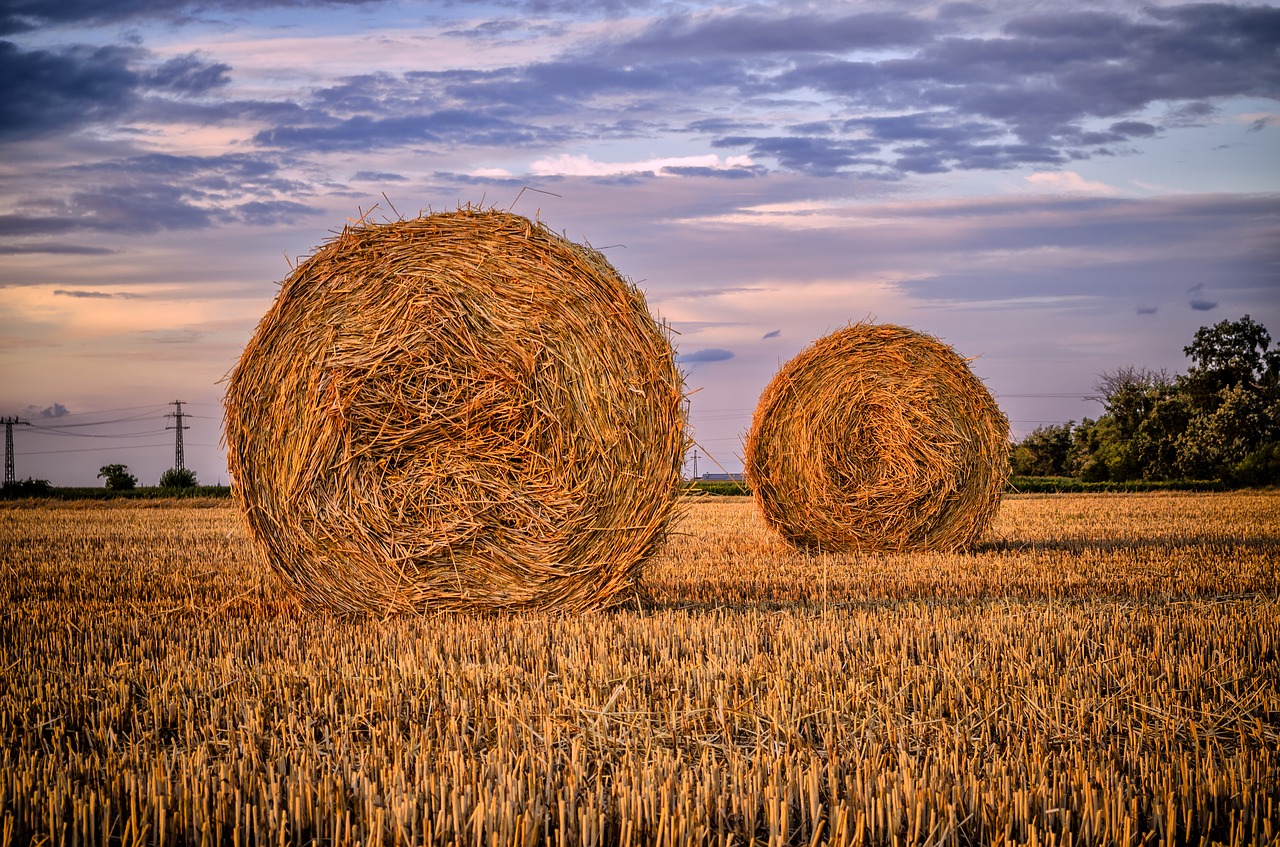 Image - straw bale field nature
