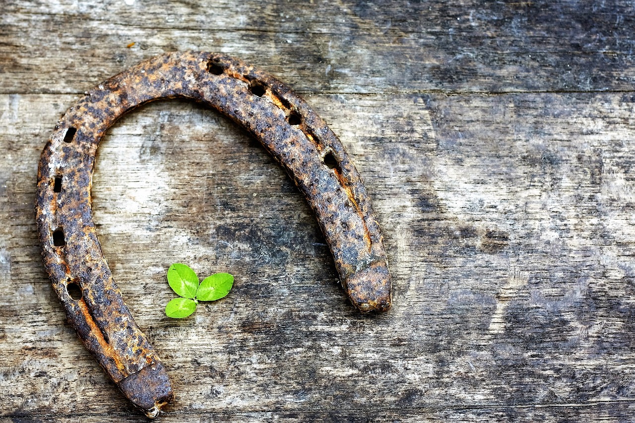 Image - horseshoe shamrock symbol day